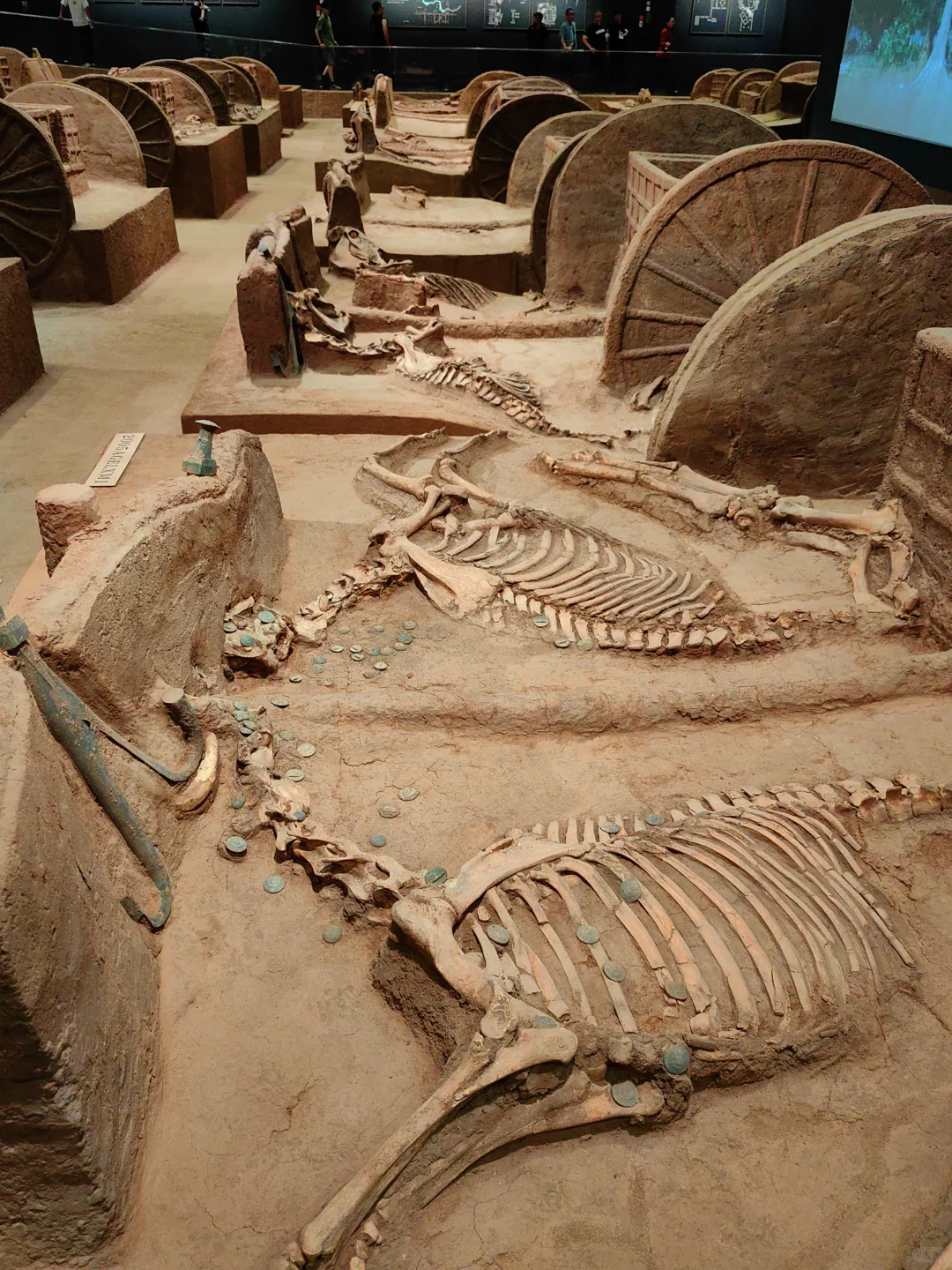 殷墟博物馆~封神