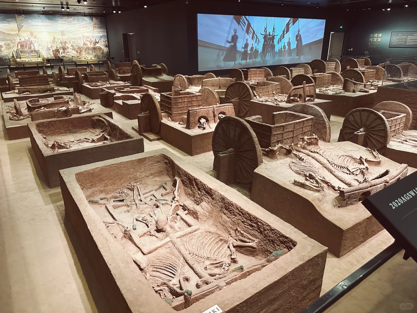 答应我一定要来一次殷墟！最好跟着我的攻略