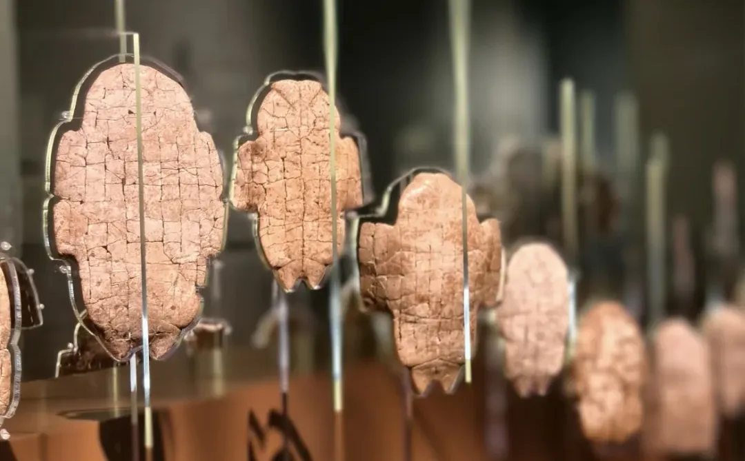 在3000年前的甲骨文里，摸到了商王朝的心跳