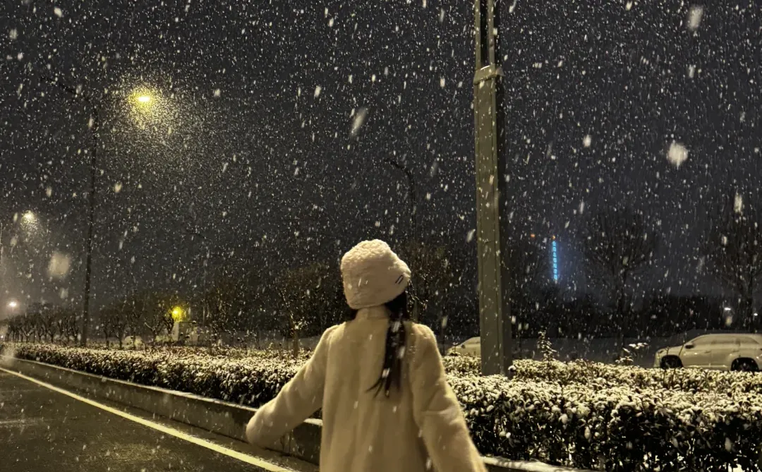 这一场雪也太治愈了吧❄️