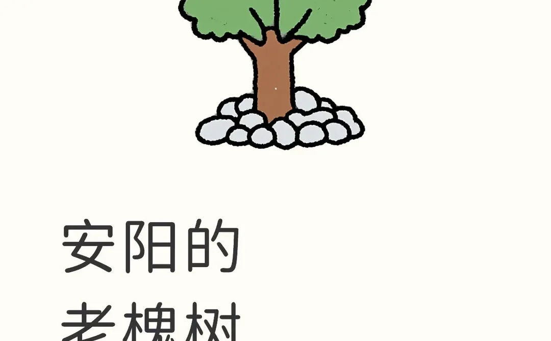 安阳的各位有知道的吗？