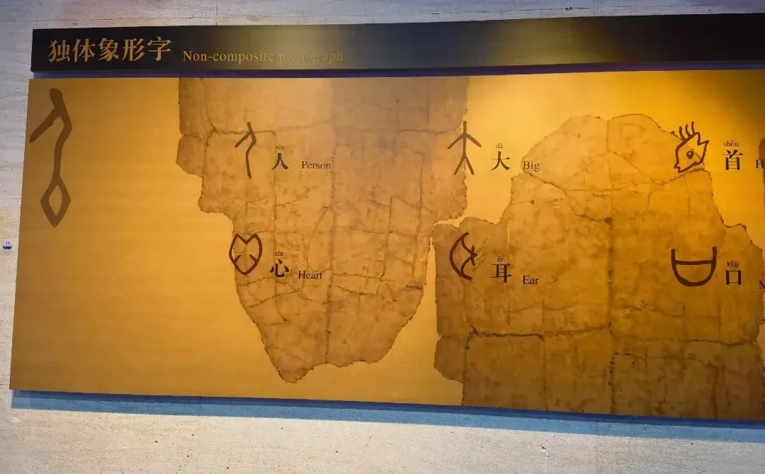 安阳漫游丨触摸3000年甲骨文！