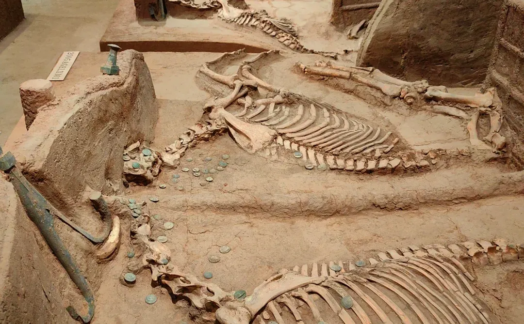 殷墟博物馆~封神