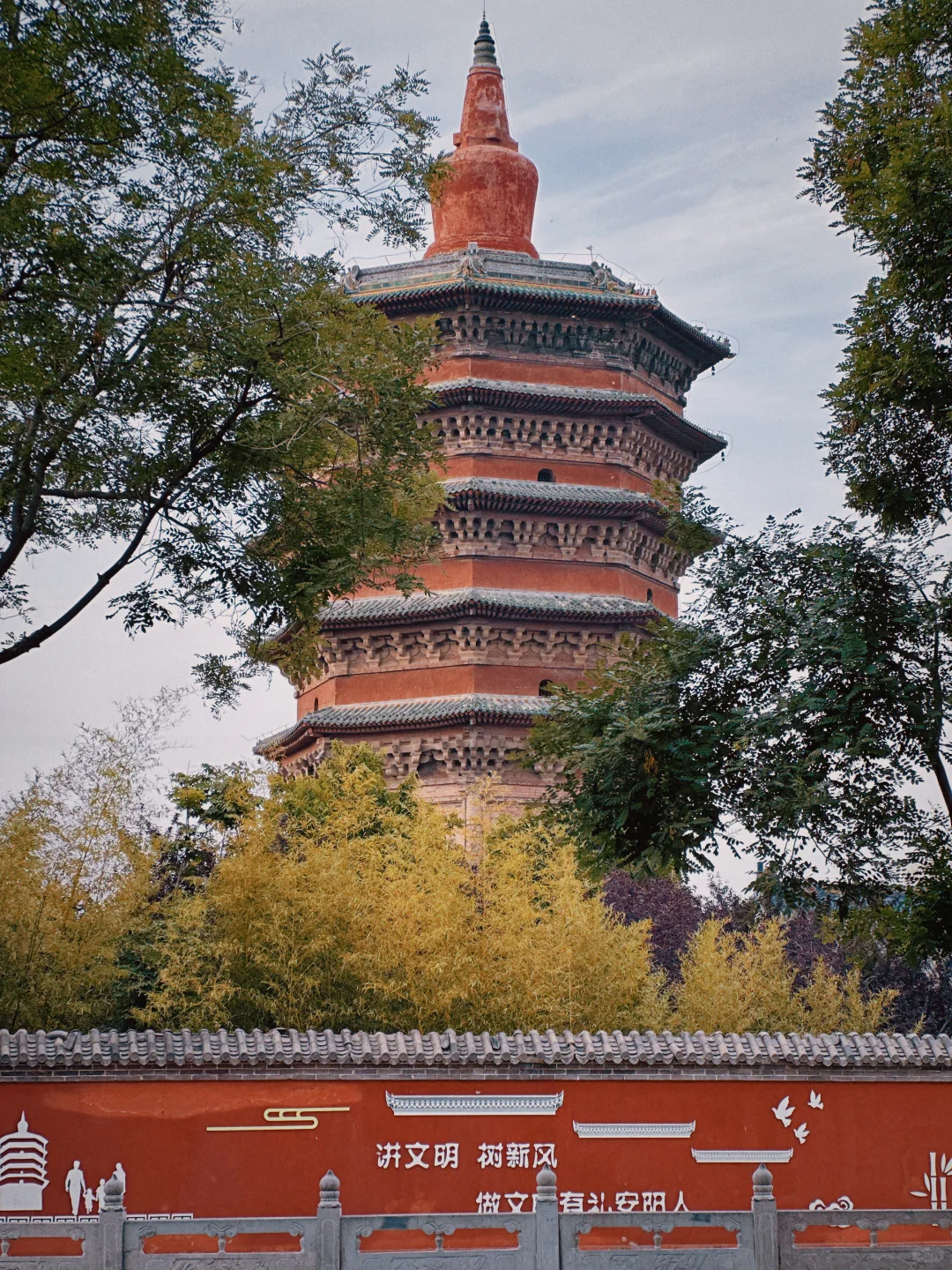 安阳｜拍了几张好看的照片