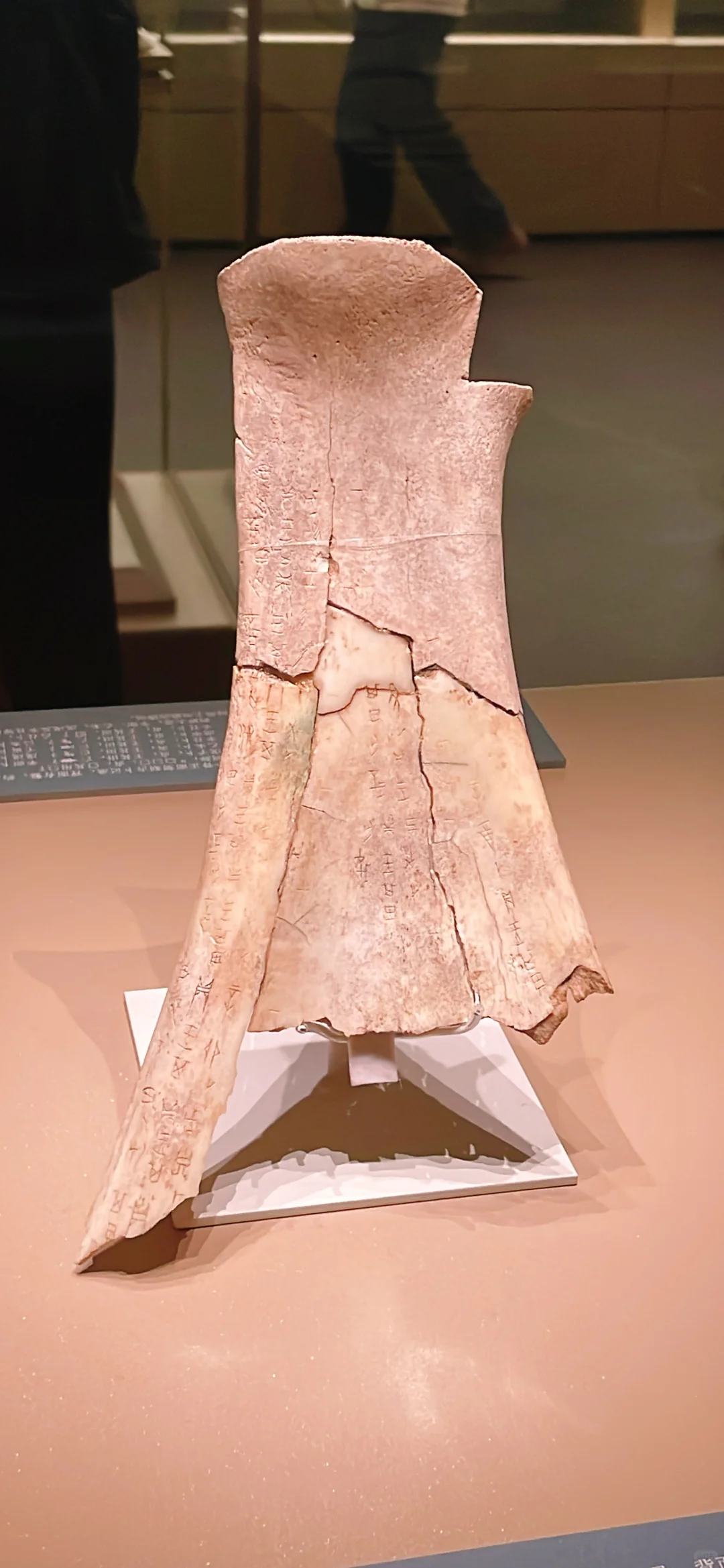 周末特种兵旅行🧳逃离天津48h:安阳(13/50)