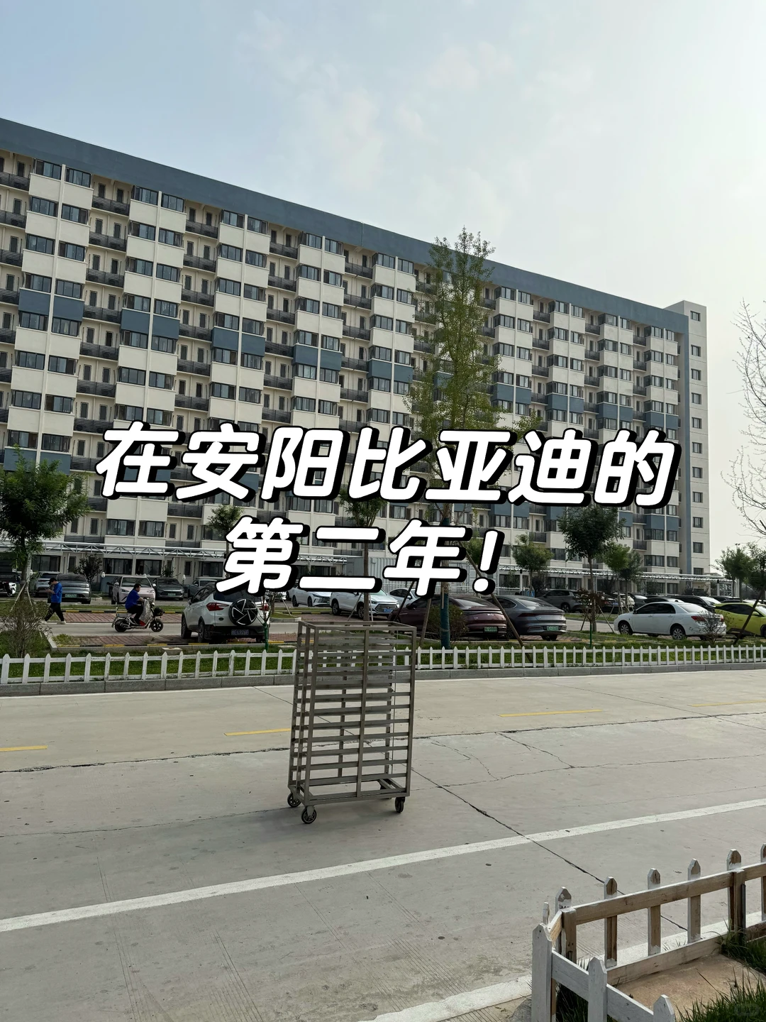 在安阳比亚迪的第720天