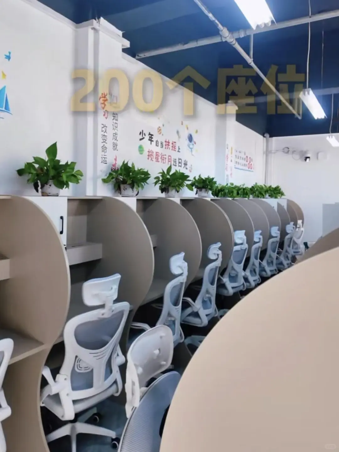 包了安阳2️⃣9️⃣8️⃣每月自习室+住宿+背书室