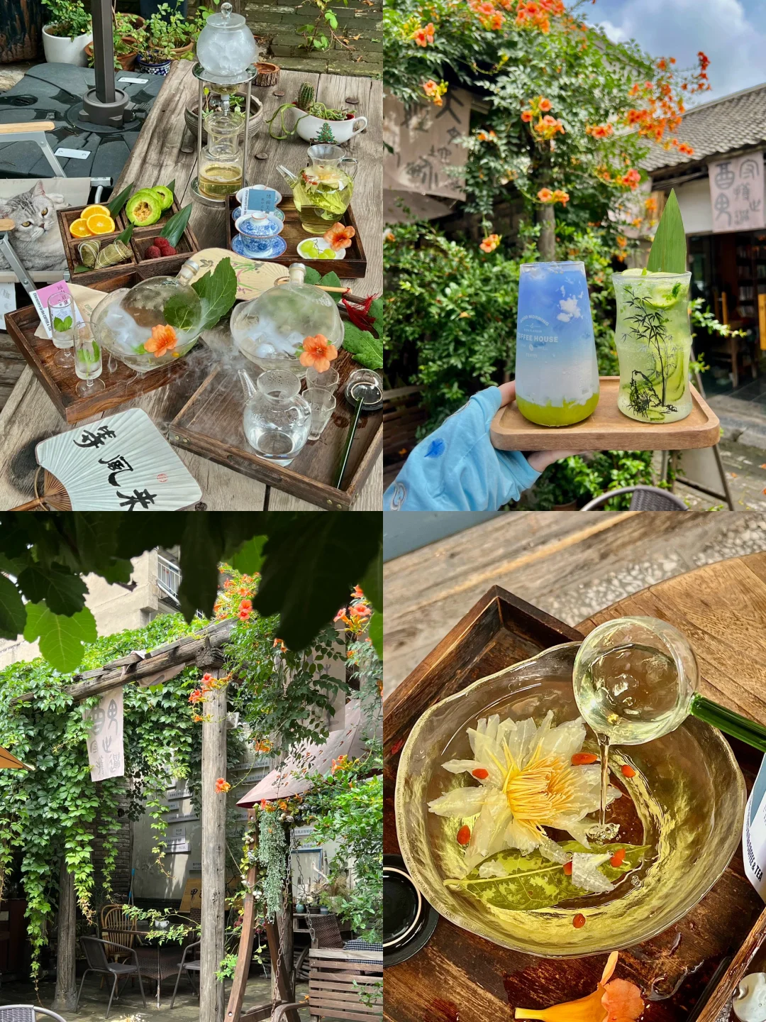 安阳。。漂亮店下午茶citywalk（合集）