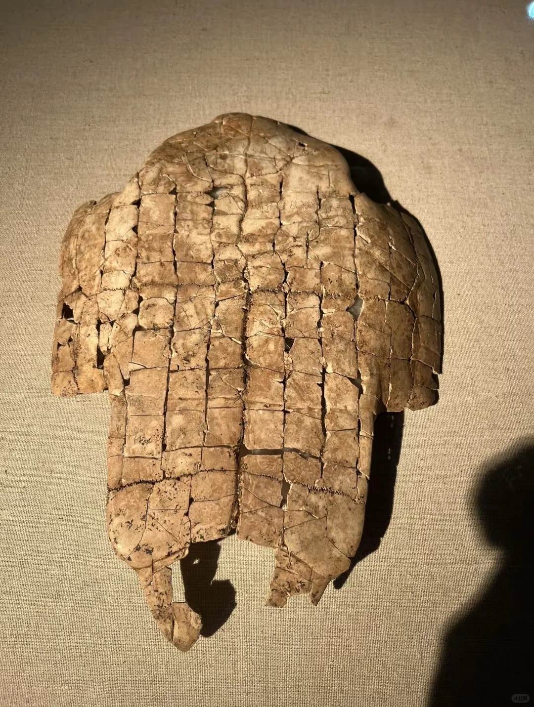 安阳漫游丨触摸3000年甲骨文！