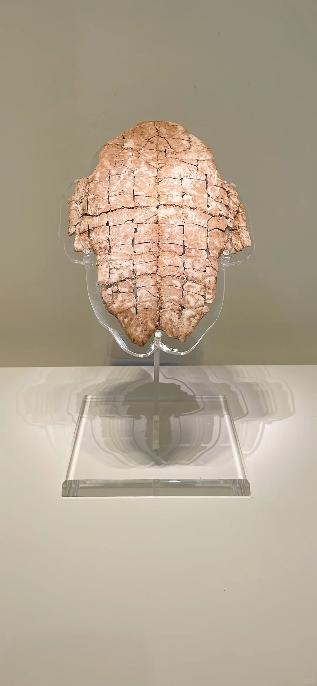 周末特种兵旅行🧳逃离天津48h:安阳(13/50)