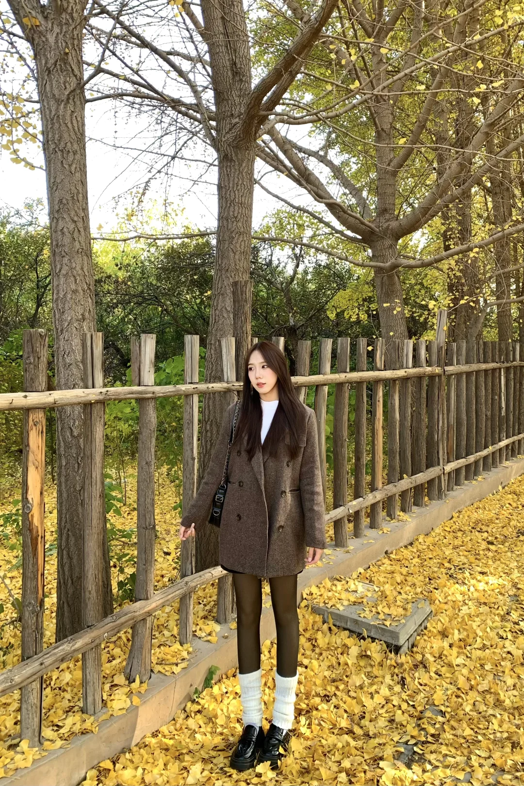 安阳的“地坛公园”