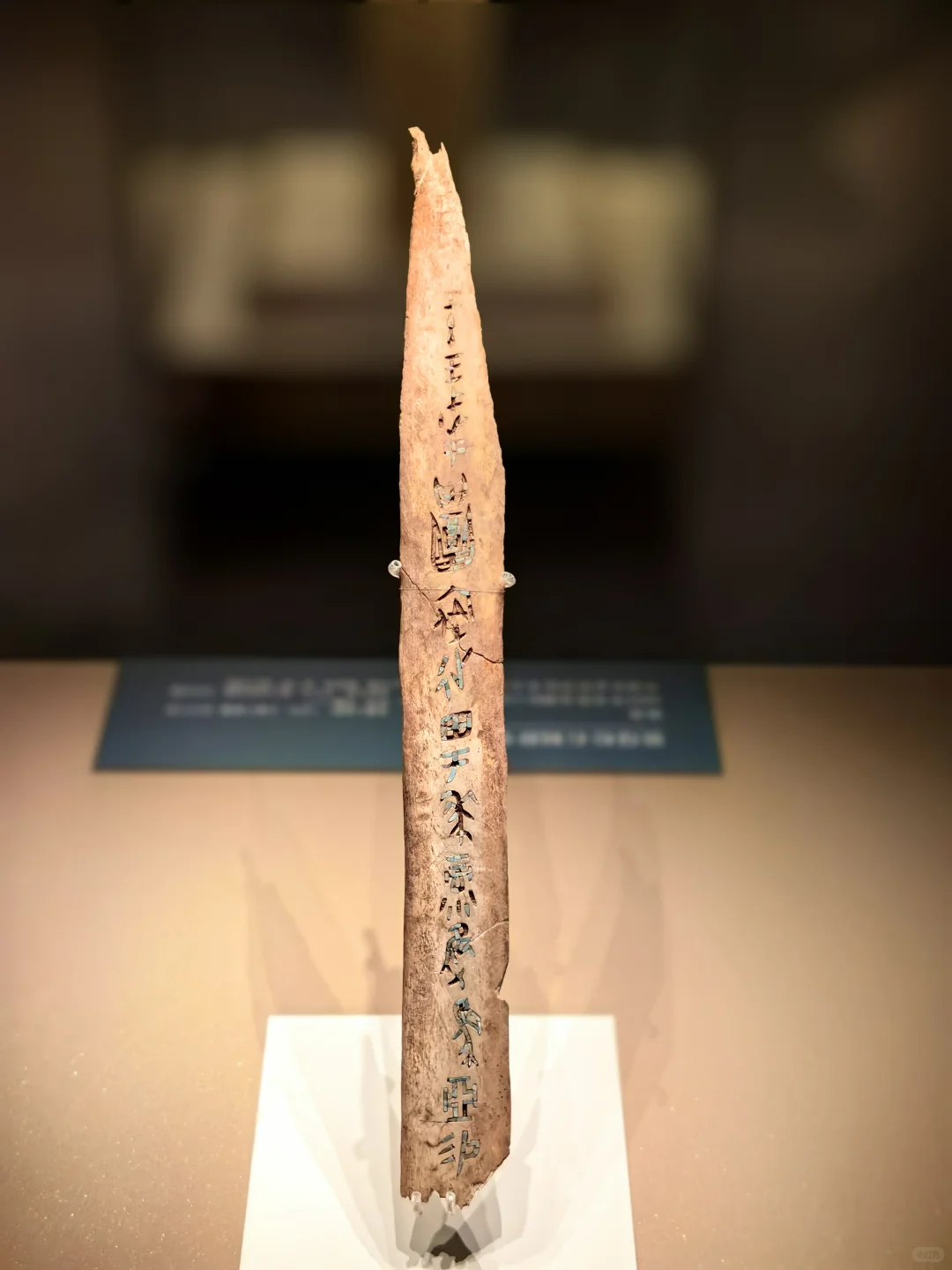 殷墟博物馆~封神