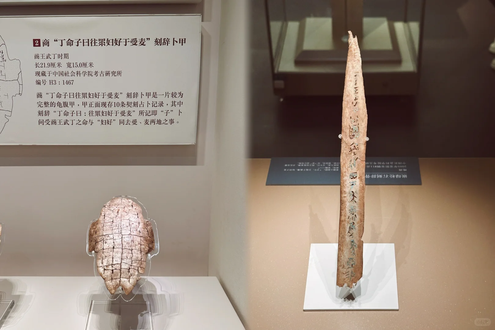 答应我一定要来一次殷墟！最好跟着我的攻略