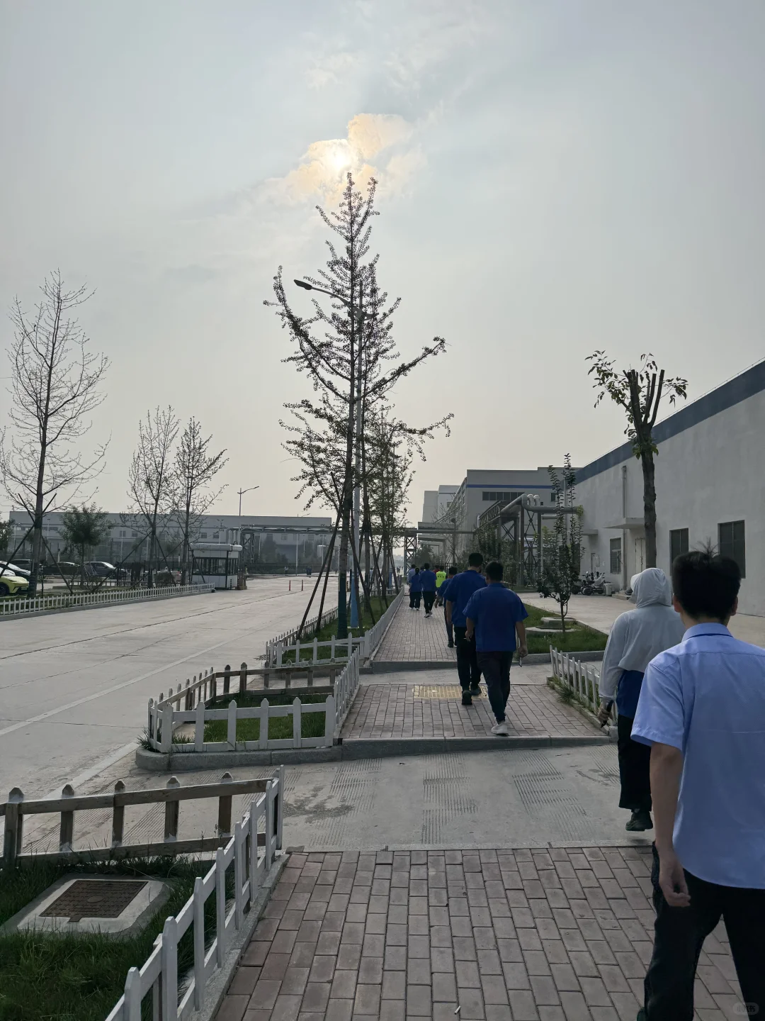 在安阳比亚迪的第720天