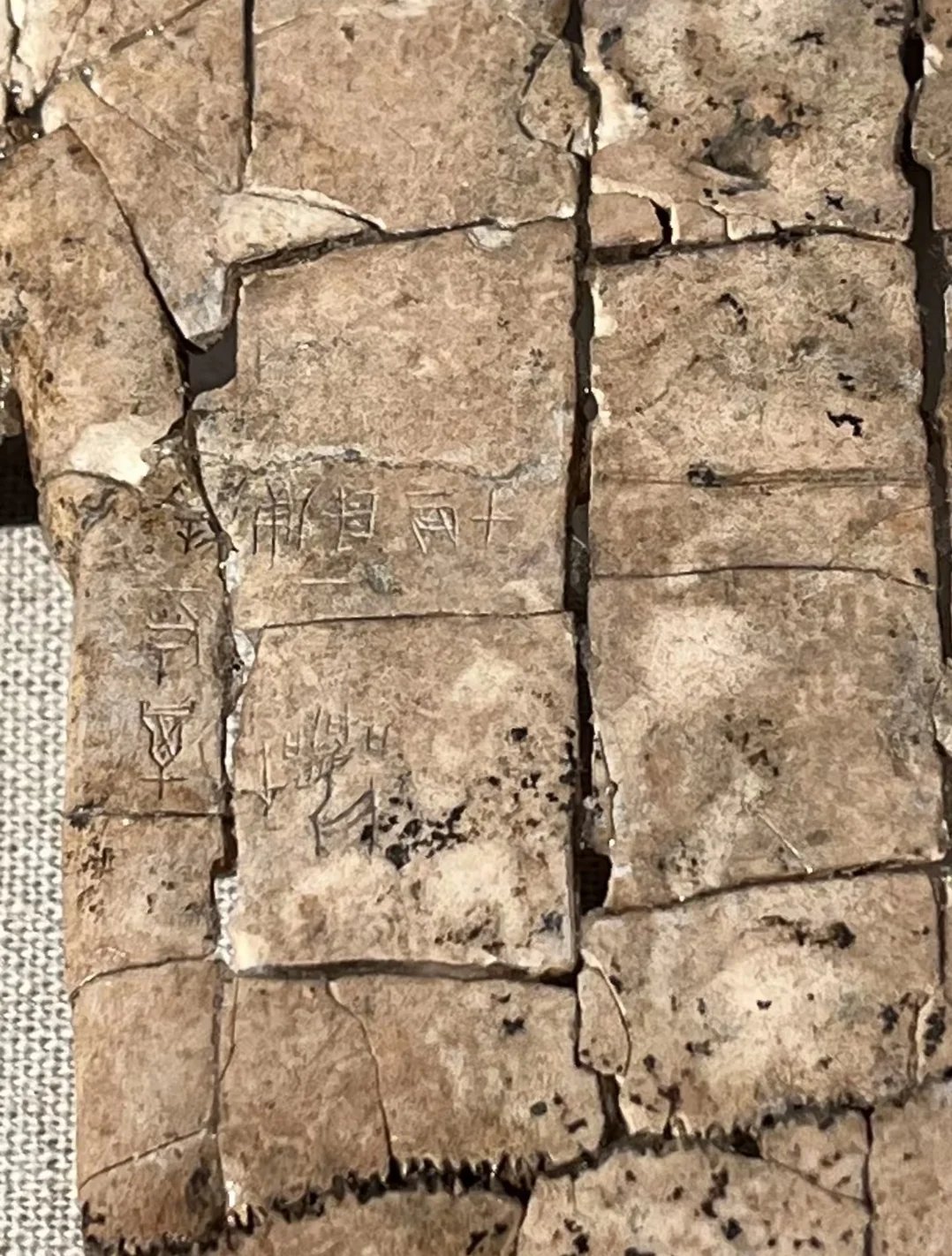 安阳漫游丨触摸3000年甲骨文！