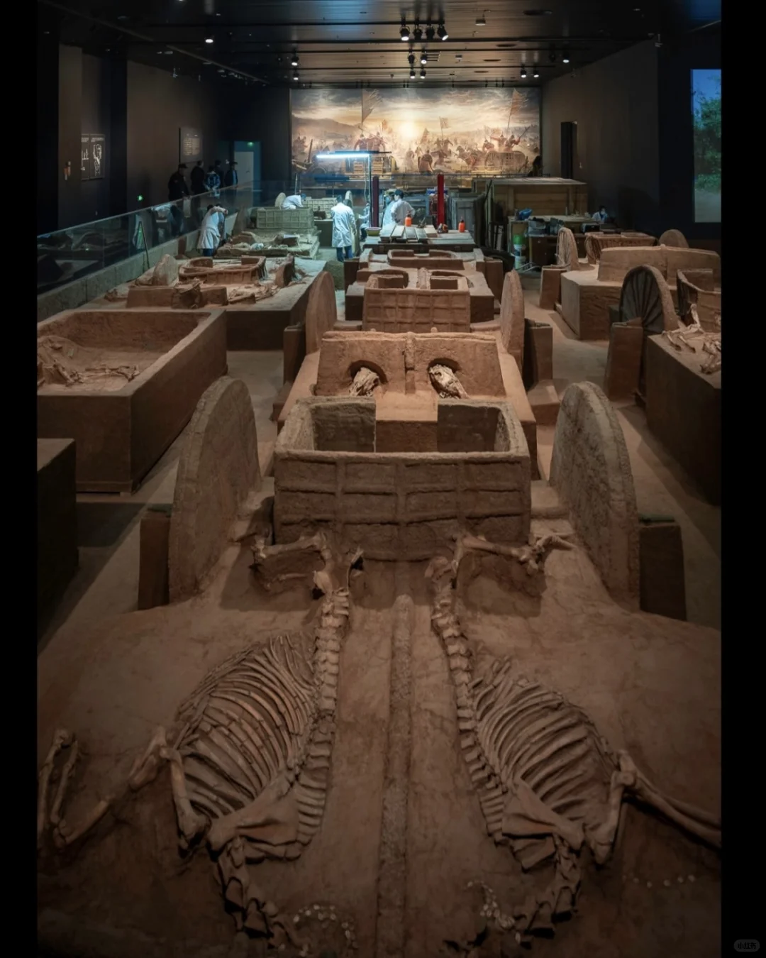 在3000年前的甲骨文里，摸到了商王朝的心跳