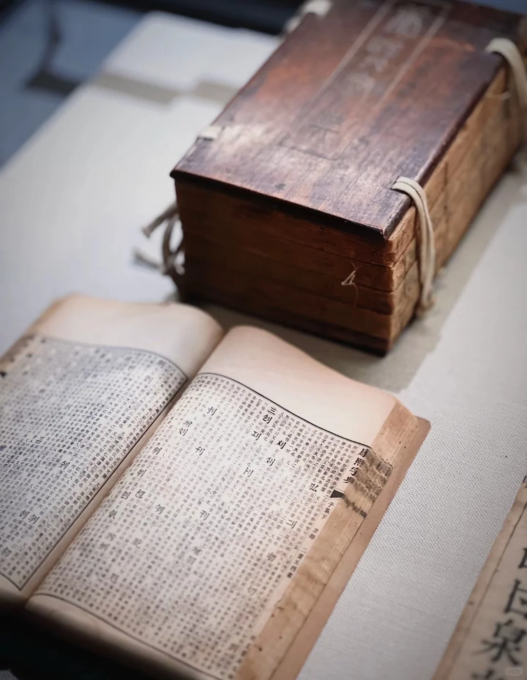 安阳漫游丨触摸3000年甲骨文！