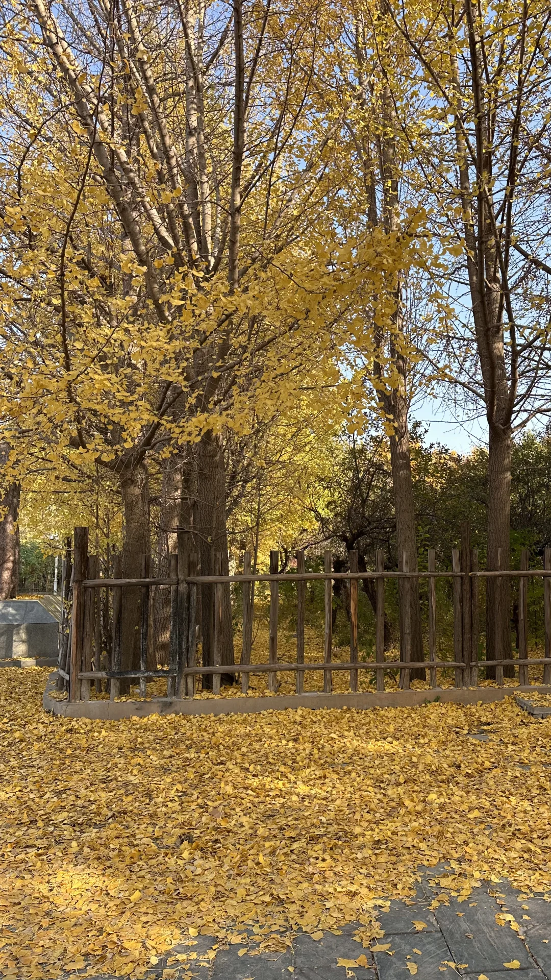 安阳的“地坛公园”