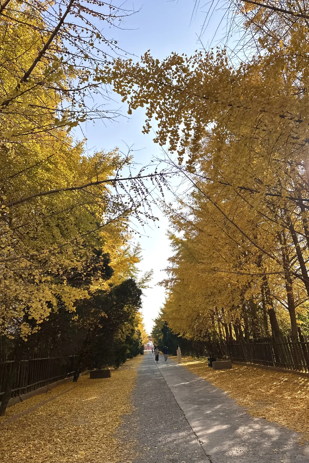 安阳的“地坛公园”