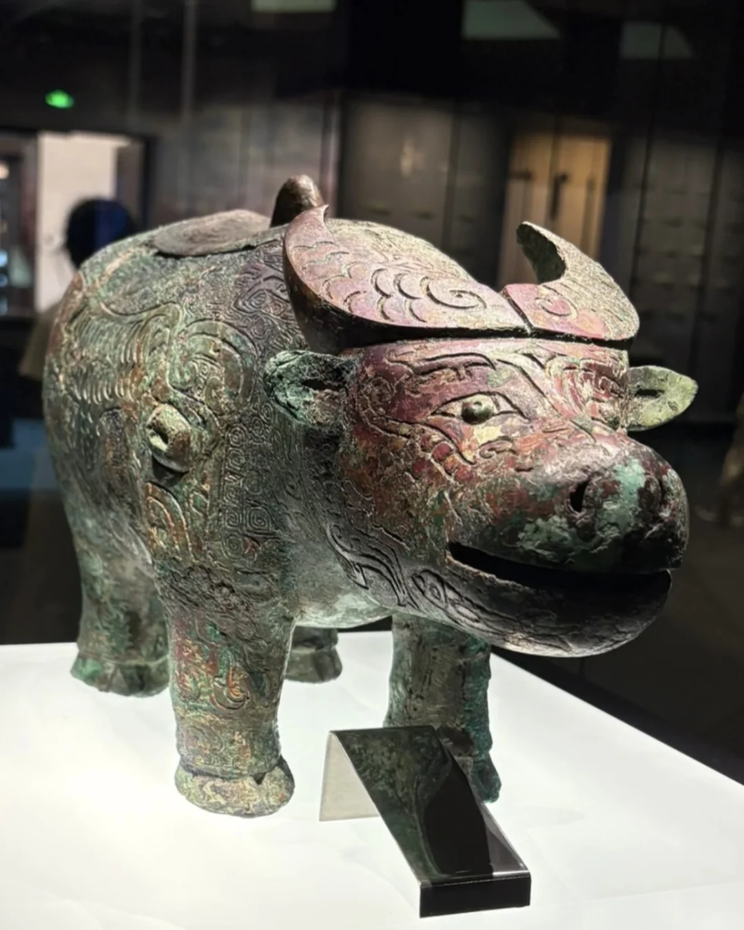 在3000年前的甲骨文里，摸到了商王朝的心跳