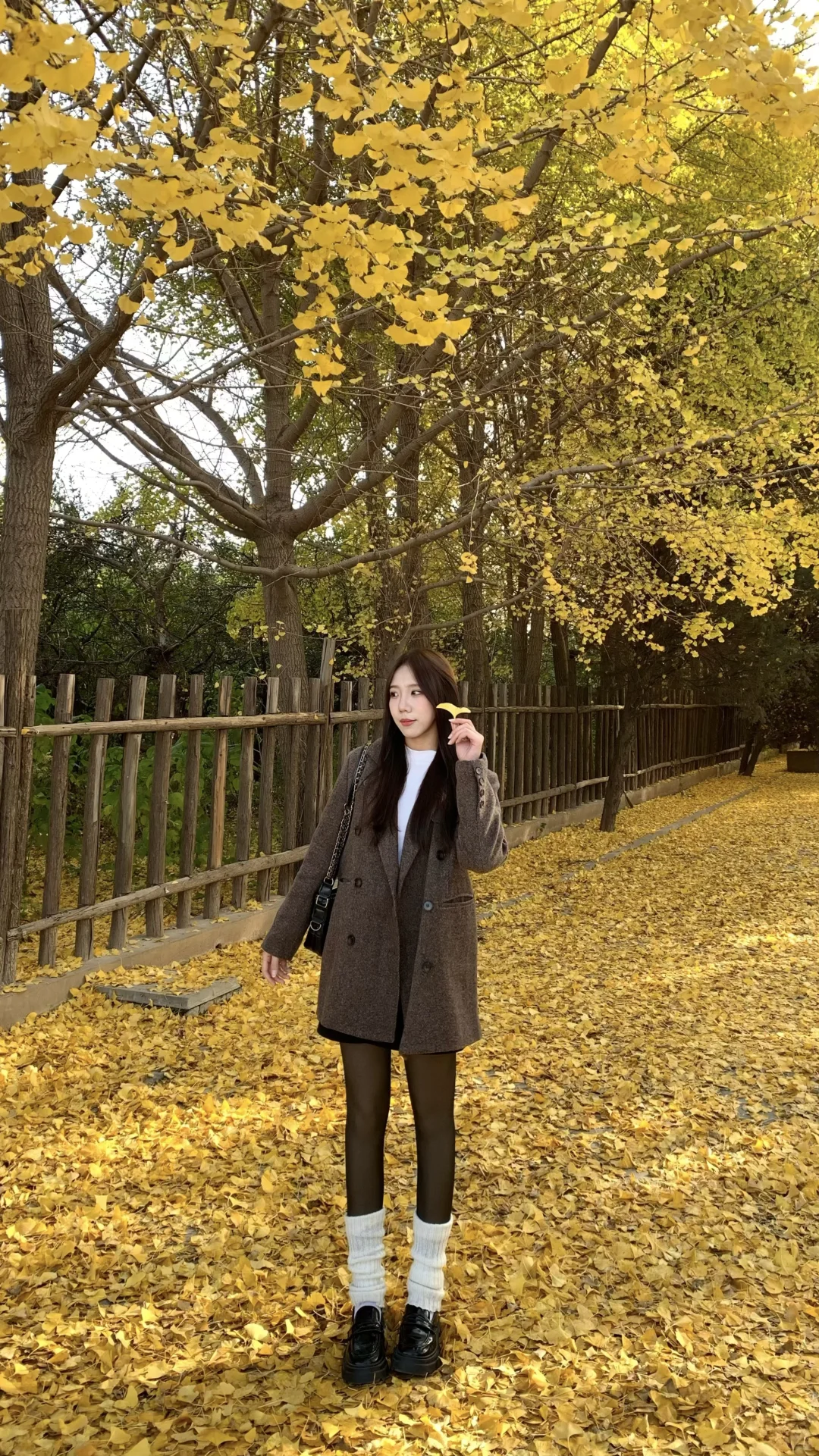 安阳的“地坛公园”