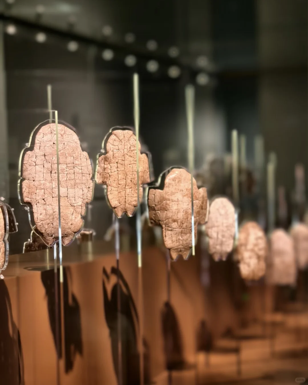 在3000年前的甲骨文里，摸到了商王朝的心跳