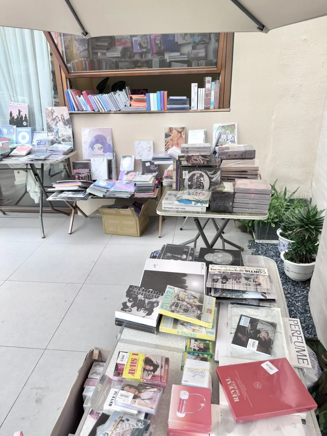 安阳kpop人在哪里😘