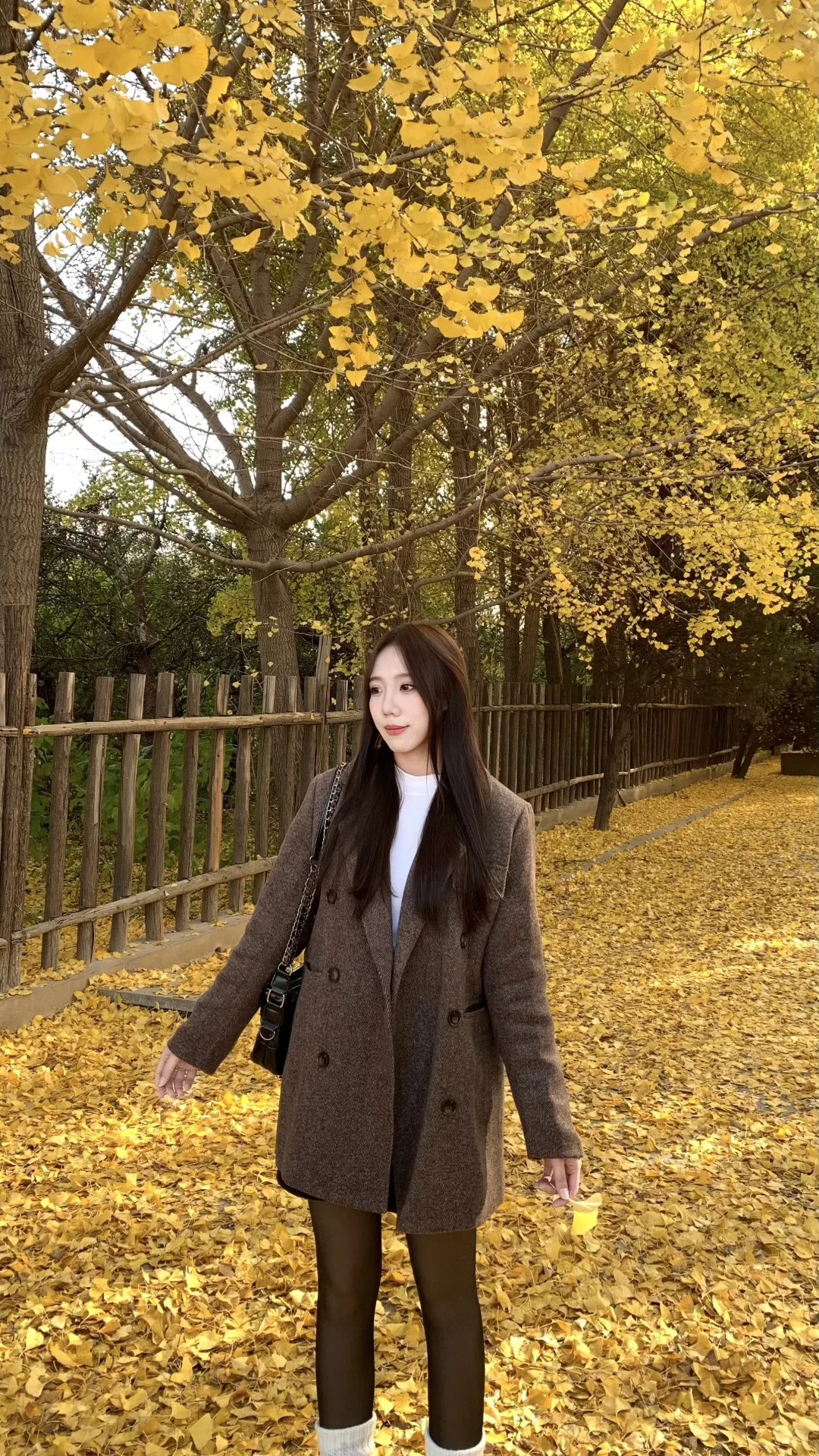 安阳的“地坛公园”