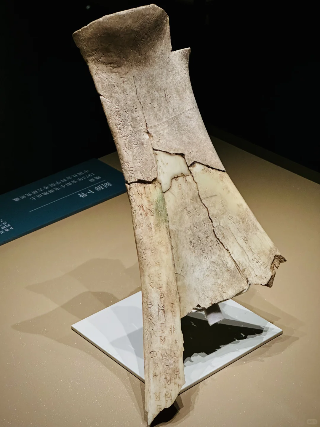 📍殷墟｜天命玄鸟，降而生商