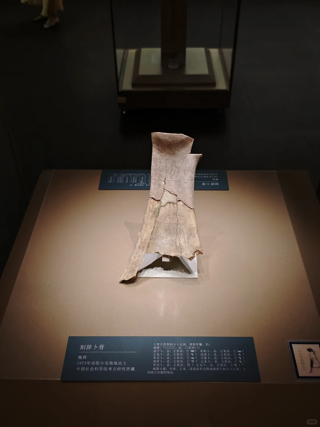 不要错过了！安阳殷墟真的太震撼了