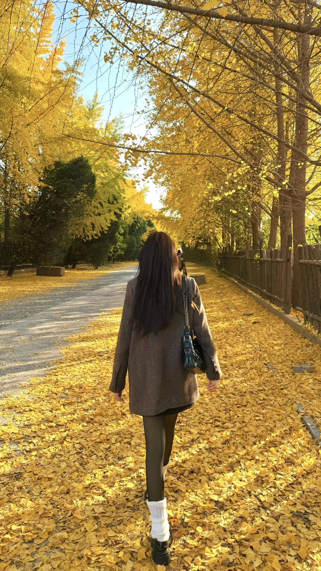 安阳的“地坛公园”