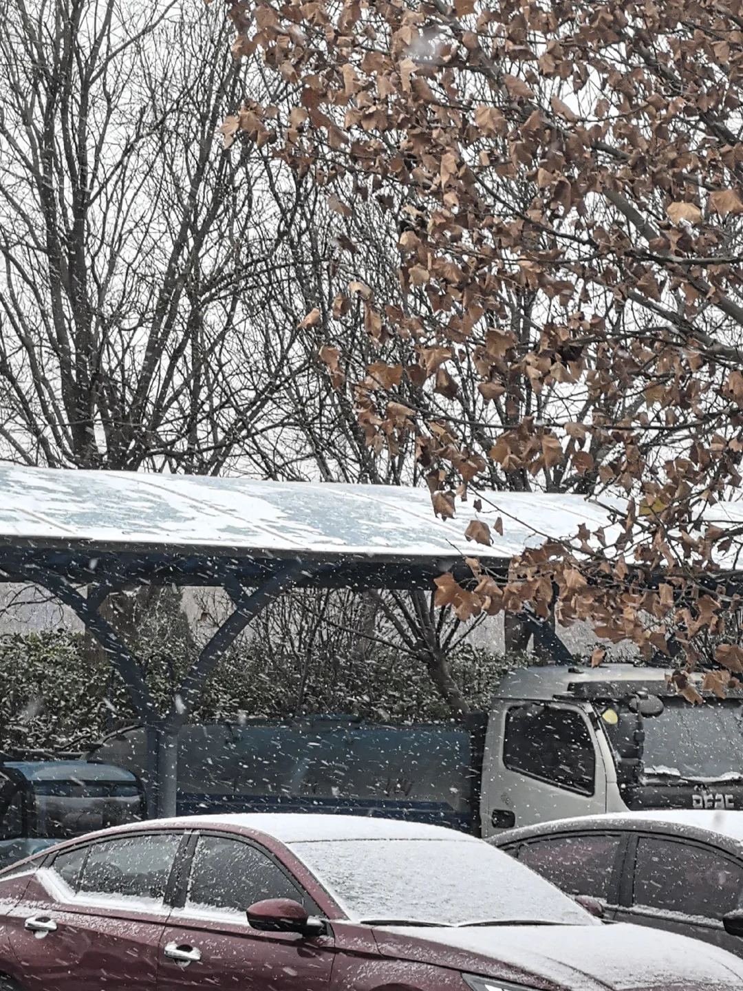 Live实拍❄进来看2025.12.12安阳的入冬初雪