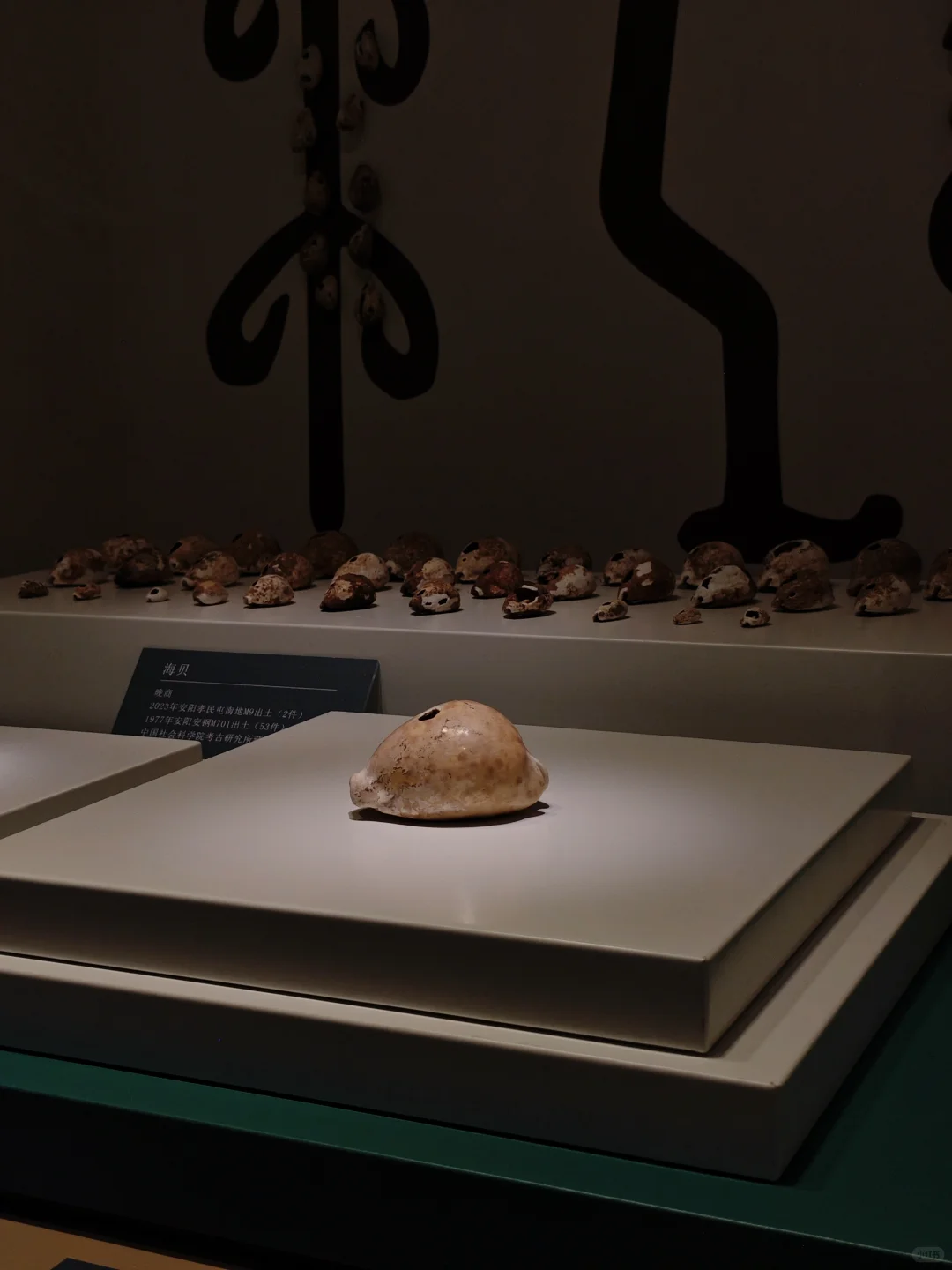 不要错过了！安阳殷墟真的太震撼了