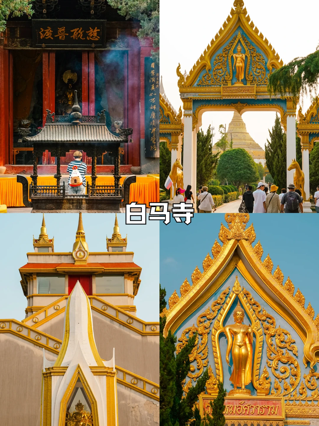 后劲十足❗国庆洛阳纯玩游太自由💯爽翻