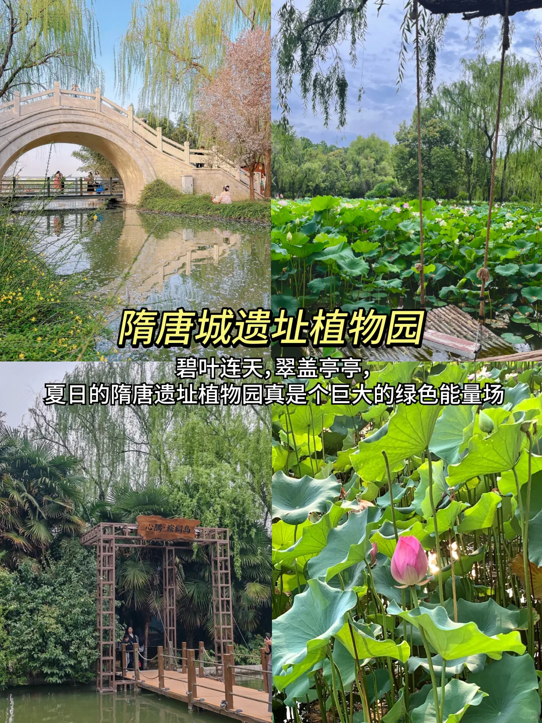 强烈推荐‼️洛阳9个免费景点合集📸