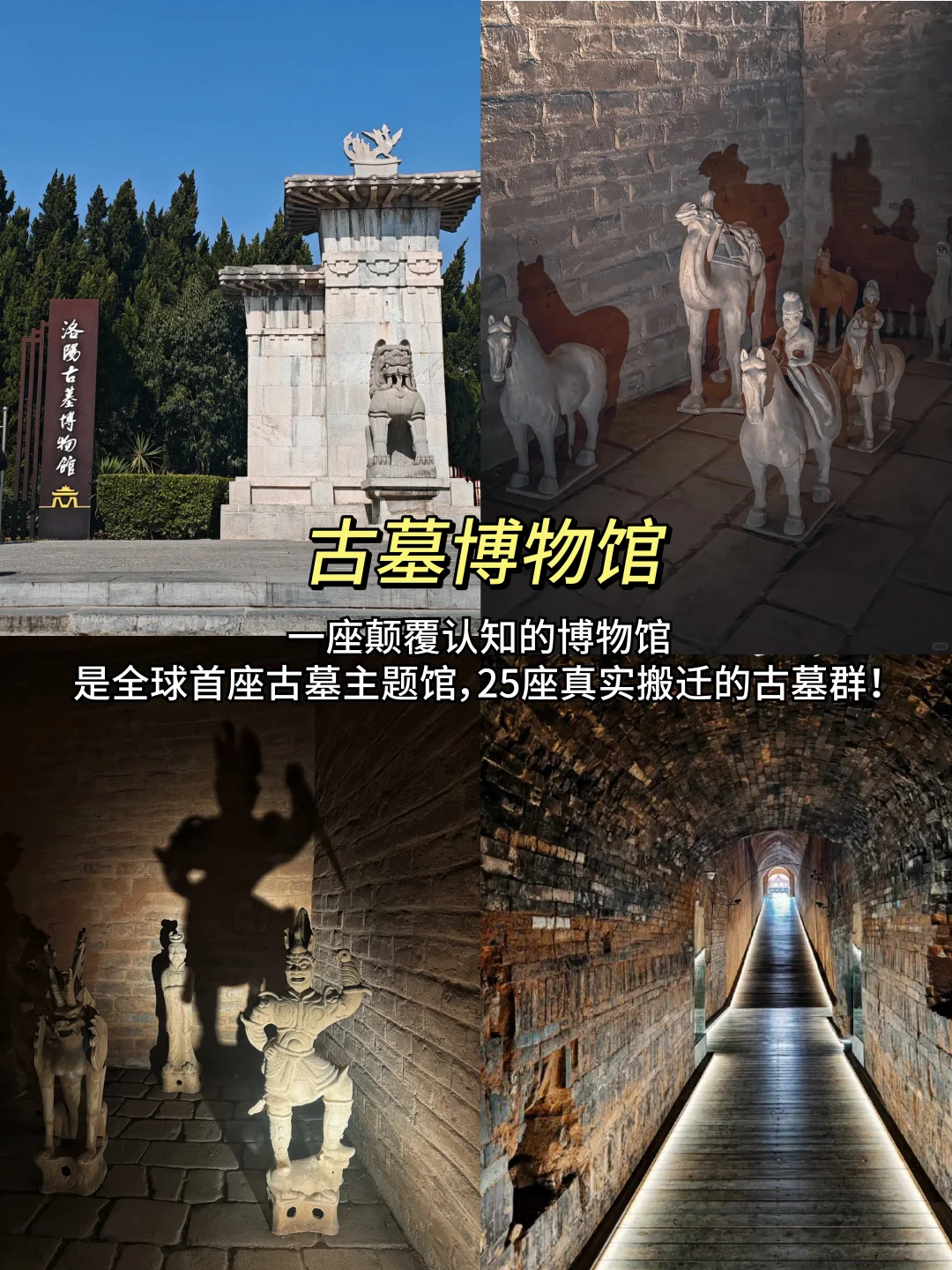 强烈推荐‼️洛阳9个免费景点合集📸