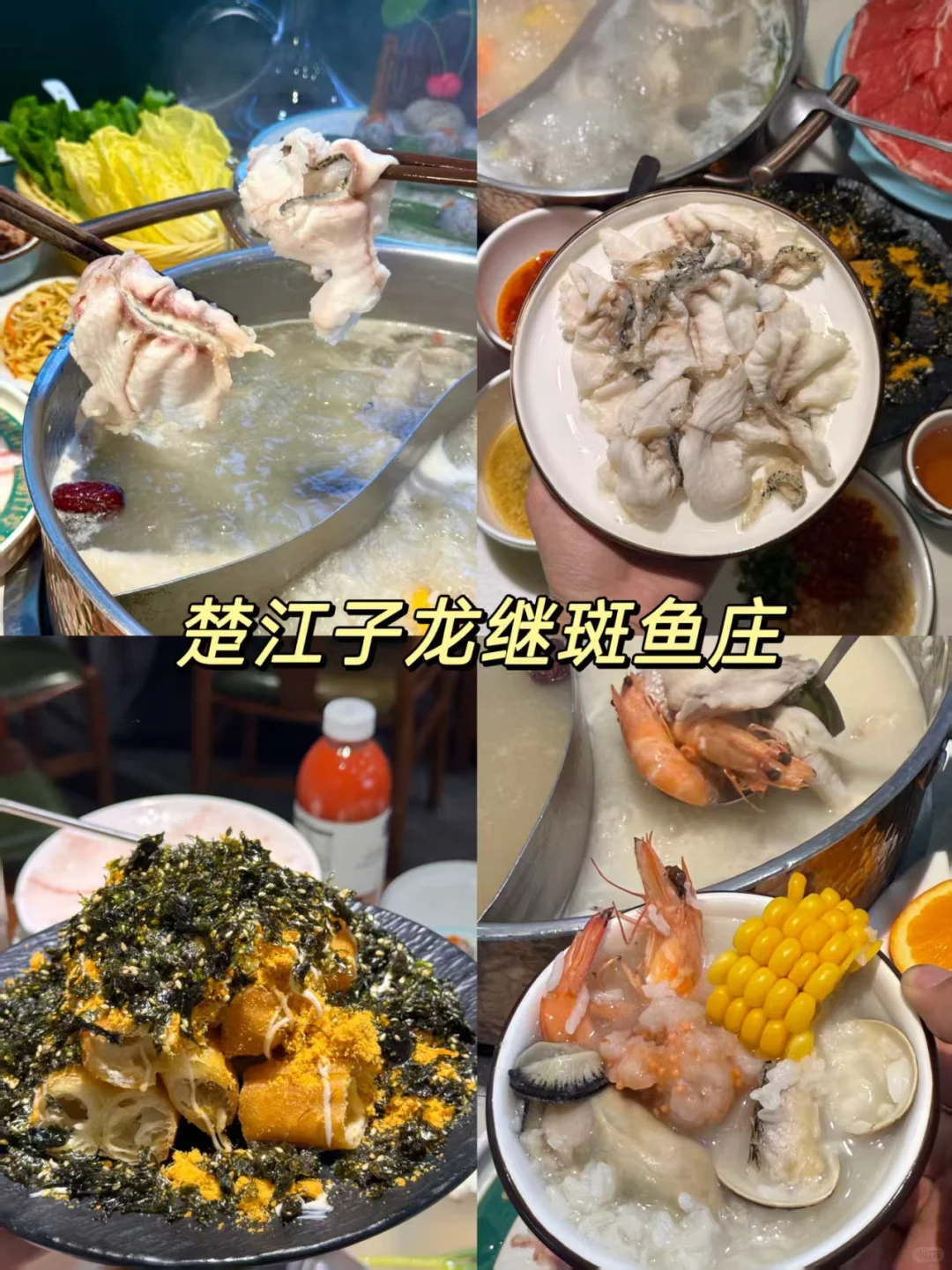 洛阳已回，再也不用听小红书乱说了❗❗