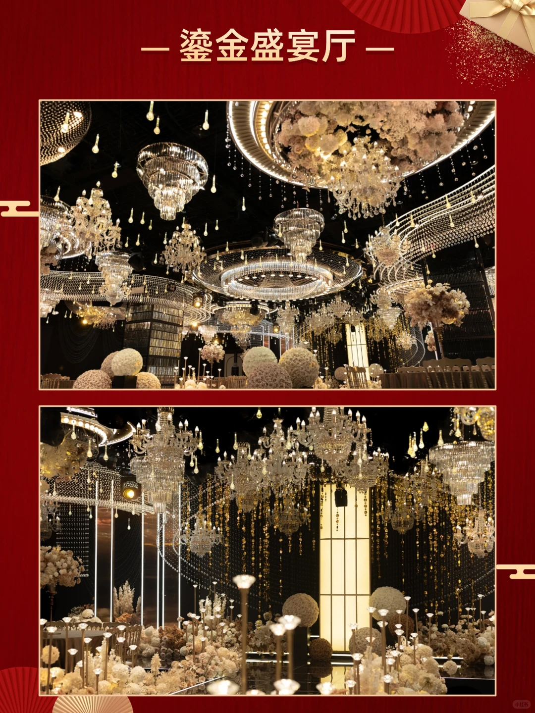 郑州年会“捡漏”攻略！直接省下5位数💰