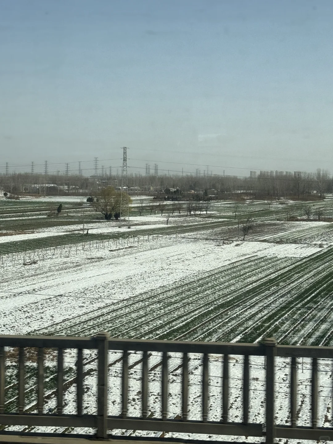 来郑州看雪啦❄️❄️