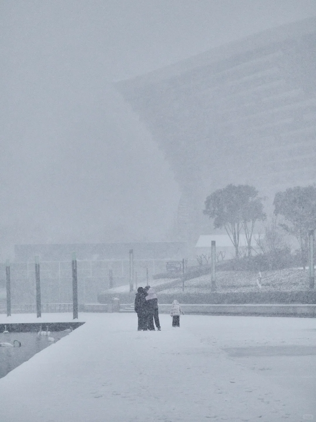 终于拍到郑州的雪景了，好美啊！！