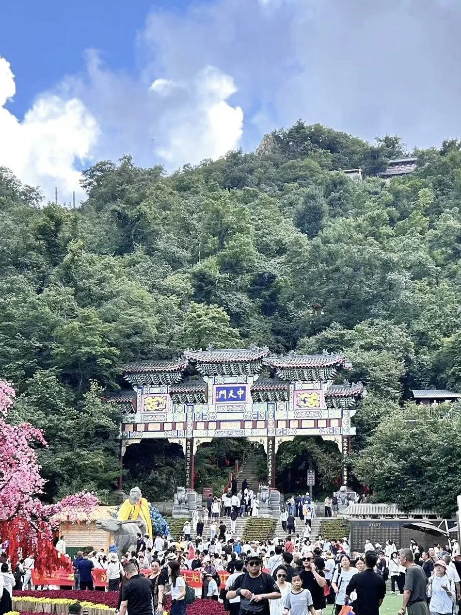 洛阳白马寺｜本地人私藏的治愈系玩法🌿
