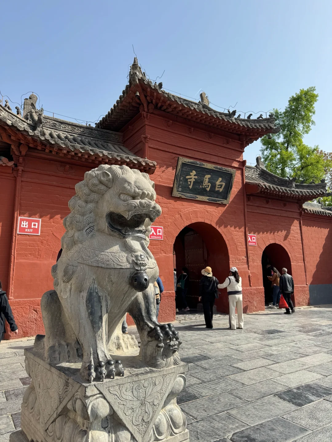 来了洛阳，怎么能错过龙门石窟的绝美傍晚！