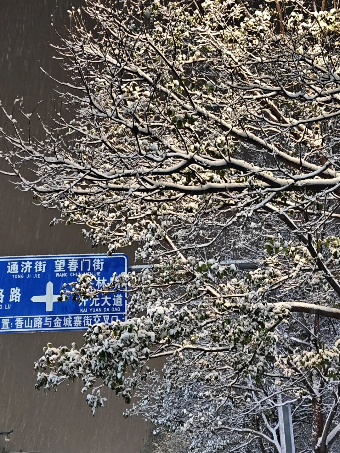 洛阳1212初雪～