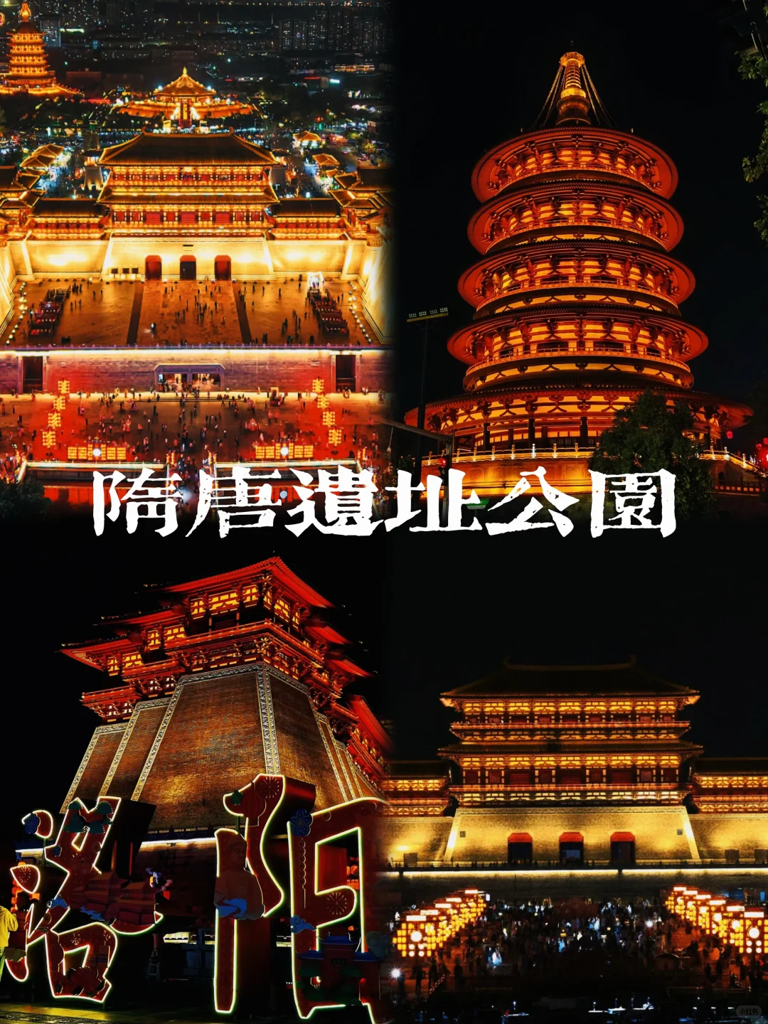 来洛阳看这一篇就够了✅超详细行程攻略👏🏻