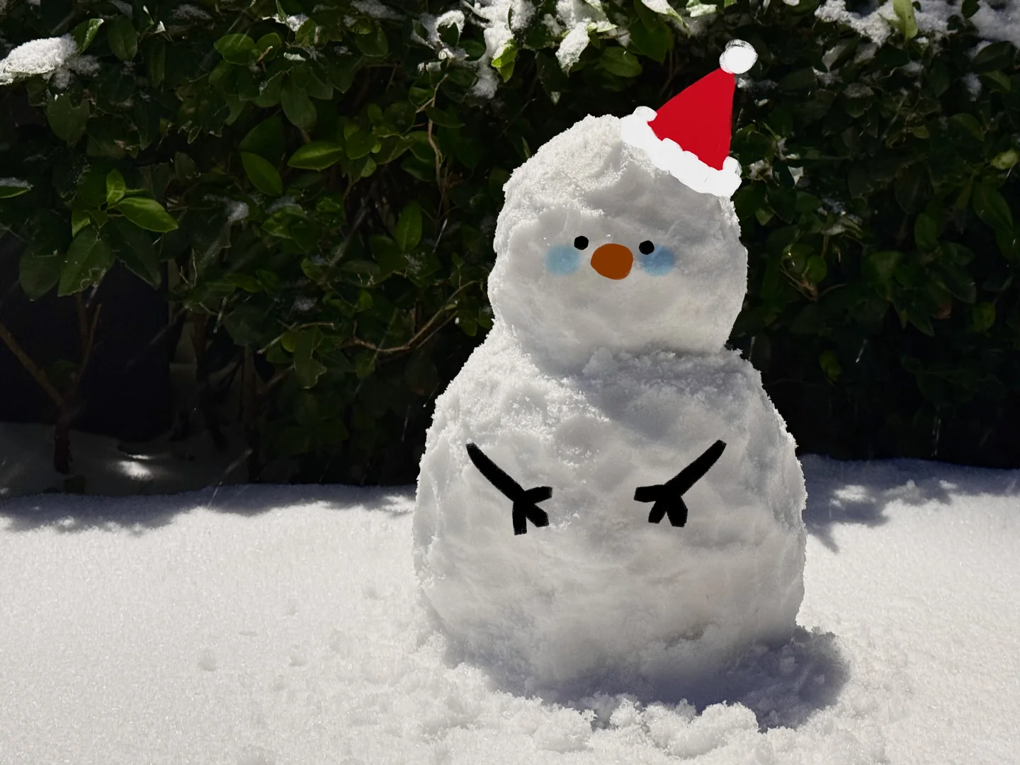 郑州下雪啦❄️⛄️🌧️