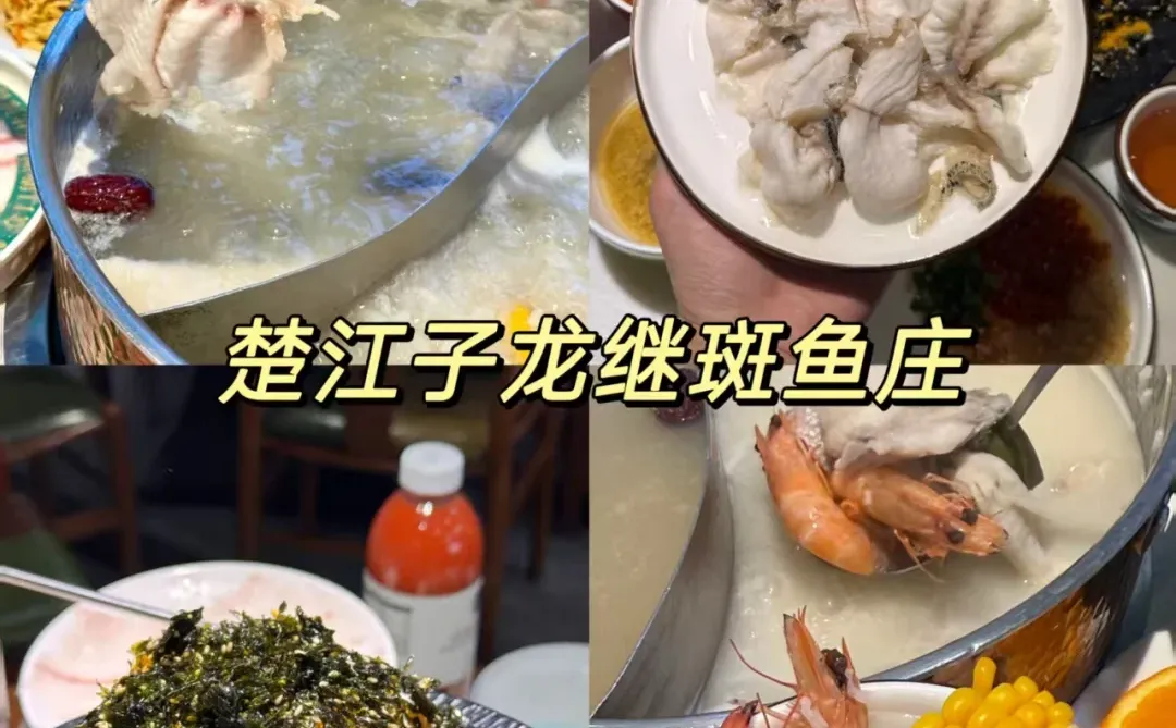 洛阳已回，再也不用听小红书乱说了❗❗