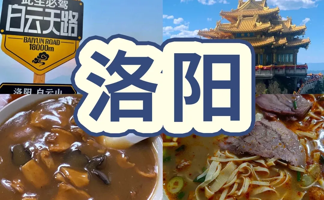 J人熬夜整理洛阳避雷攻略…不看9月千万别来