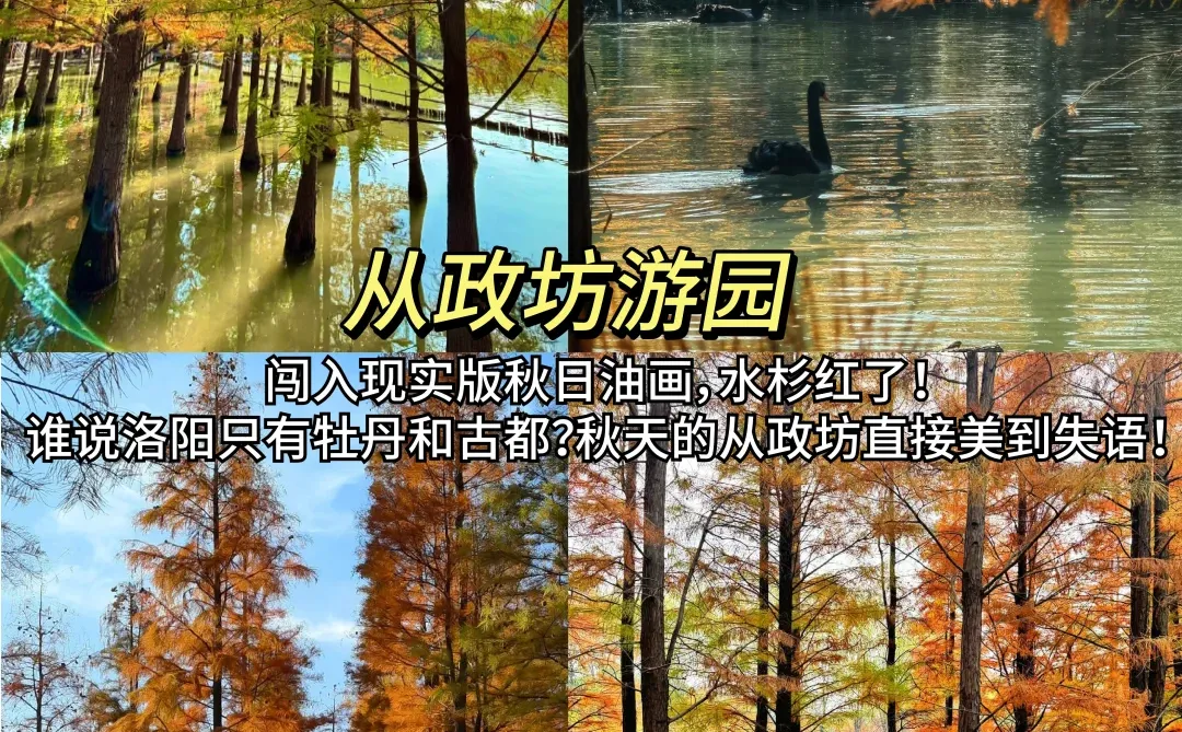 强烈推荐‼️洛阳9个免费景点合集📸