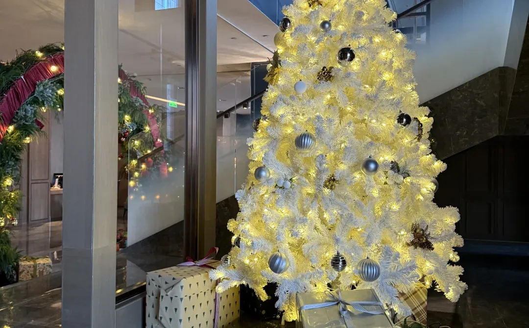 郑州洲际超大圣诞树🎄🎄🎄