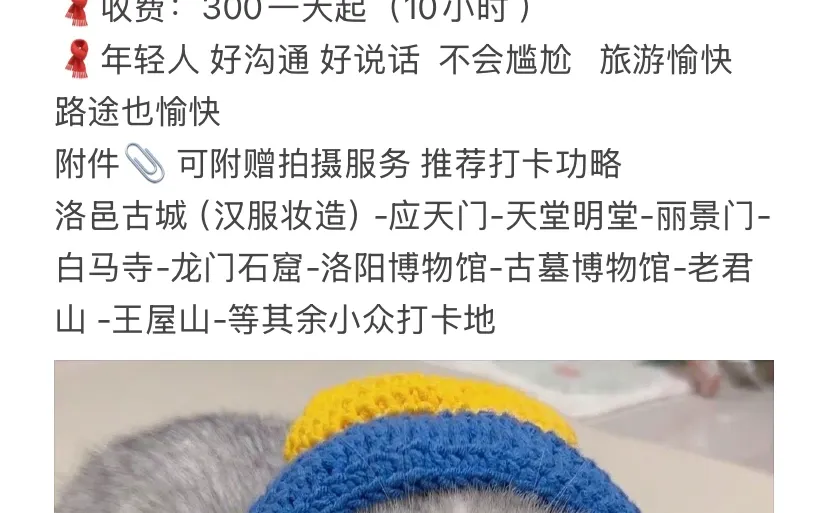 第一次去洛阳、不要去这几个地方